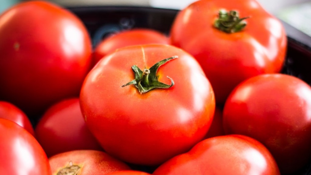 Onko turve sammal hyvä tomaateille
